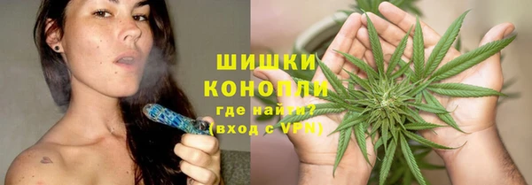 трава Арсеньев